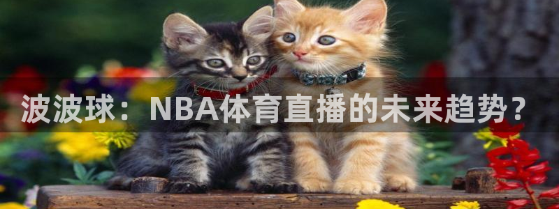 龙门体育直播免费观看：波波球：NBA体育直播的未来趋势？