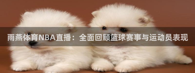 龙门免费直播：雨燕体育NBA直播：全面回顾篮球赛事与运动员表现
