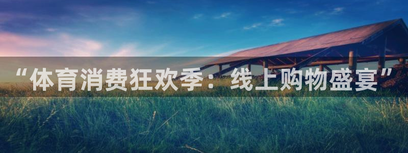 nba龙门直播：“体育消费狂欢季：线上购物盛宴”