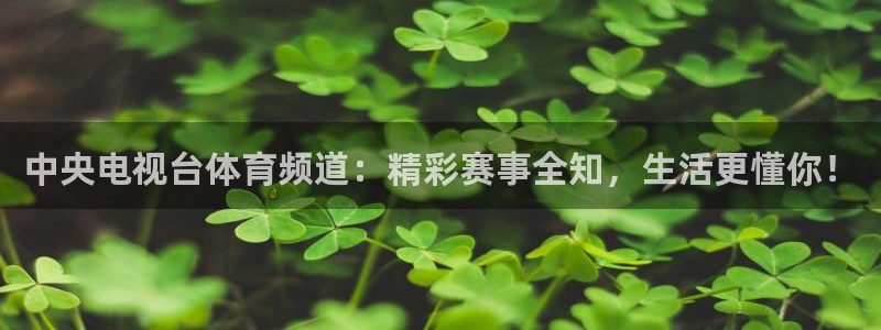 龙门体育视频直播：中央电视台体育频道：精彩赛事全知，生活更懂你！