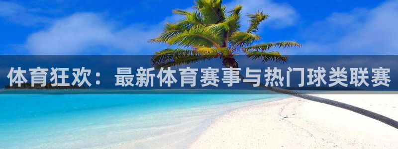 龙门体育视频直播：体育狂欢：最新体育赛事与热门球类联赛