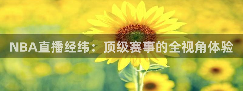 龙门直播nba免费直播在线观看：NBA直播经纬：顶级赛事的全视角体验