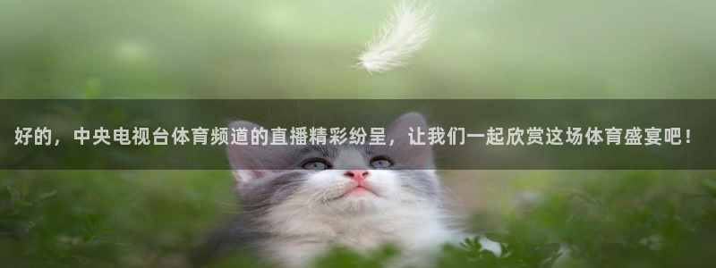 龙门体育直播免费观看：好的，中央电视台体育频道的直播精彩纷呈，让我们一起欣赏这场体育盛宴吧！