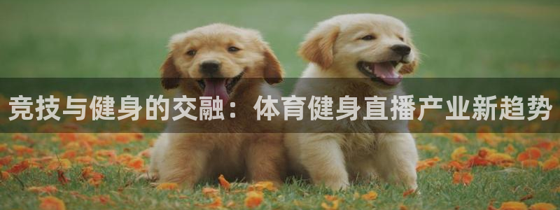 龙门飞甲哪个平台可以看：竞技与健身的交融：体育健身直播产业新趋势